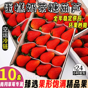 草莓新鲜商用10盒四季水果同城配送烘焙糖葫芦专用双流冬草莓批发