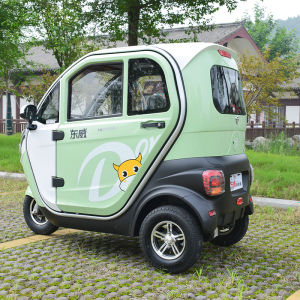 东威a6l国标电动三轮车可挂牌休闲电动三轮车接送宝宝休闲全封闭