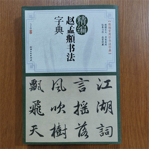 精编赵孟頫书法字典 部首检索常用字书法字典马守国编赵孟俯行书楷书毛笔书法工具书江西美术出版社