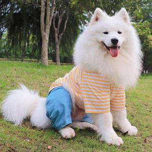 狗狗衣服中型犬大型犬春秋装四脚衣大狗金毛萨摩耶边牧条纹衫薄款