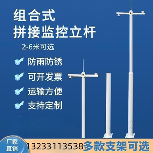 海南监控杆3米3.5米4米5米6米监控立柱户外监控杆 不锈钢监控立杆