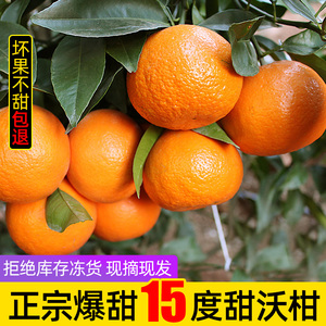正宗广西武鸣沃柑5-9斤水果新鲜整箱当季整箱10耙耙甜柑橘丑桔子