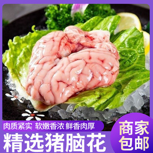 新鲜猪脑花新鲜猪脑批发鲜冻火锅食材烧烤商用猪脑子左右脑猪脑髓