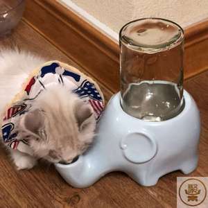 大象猫咪饮水器加菲猫专用不湿嘴饮水机扁脸猫水碗狗狗喂水喝水器