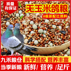 营养鸽粮鸽子饲料用品信鸽赛鸽种鸽带玉米小颗粒豌豆粮食鸟食特价