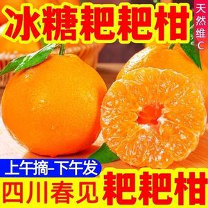 四川春见耙耙柑特级粑粑柑10斤橘子甜当季整箱新鲜水果丑柑桔包邮