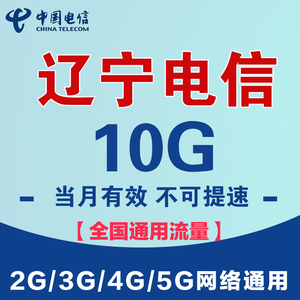 辽宁电信流量充值10G包全国通用支持4G5G网络不可提速当月有效SD