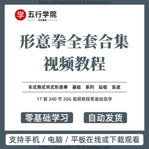 形意拳视频教程自学形意五行拳零基础学传统武术套路实战防身