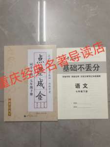 2024新版点墨成金初中语文同步字帖七年级下册同步字帖语文千字帖