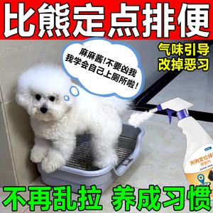 比熊专用定点排便神器训练小狗上厕所诱导剂宠物大便防止乱拉乱尿