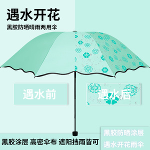 雨伞遇水开花伞晴雨两用折叠伞遮阳伞防紫外线太阳伞女生