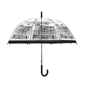 建筑屋长柄伞蕾丝阿波罗伞rain透明雨伞小胡子铁塔透明伞可印