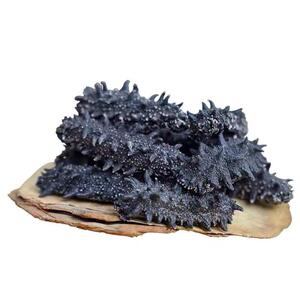 辽宁大连海参干货野生海参辽参小刺参非即食海参迷你淡干海参特价