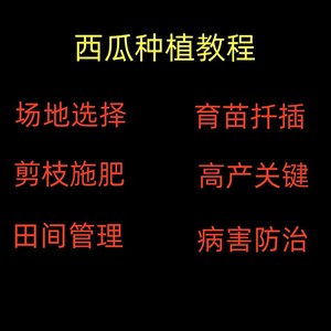 西瓜种植栽培技术教程视频大棚西瓜管理病虫草害经验