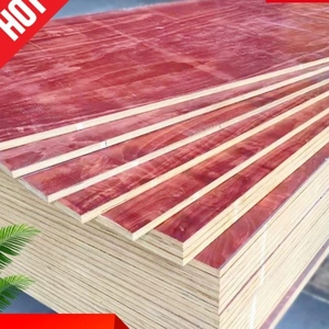 竹木桥梁板杨木整张木可辐射毫米集装箱塑料建筑模板舞台木模板