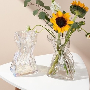 简约创意不规则花瓶透明玻璃插花水养鲜花异形高级感客厅装饰摆件