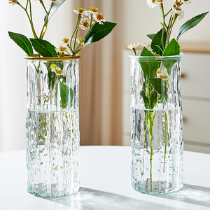 花瓶ins风高颜值北欧透明玻璃水养富贵竹鲜花瓶客厅装饰插花摆件