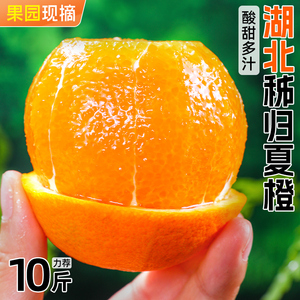 正宗湖北秭归伦晚脐橙10斤整箱橙子当季新鲜水果35斤宜昌夏橙