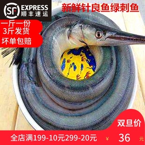 莱州特产当天现捕野生鲜活针良鱼新鲜绿刺良鱼针嘴鱼针鱼青针鱼包