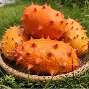 火参果新鲜8个大果灭霸同款火星果海参果火生果刺角瓜孕妇水果