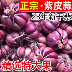 2024年云南紫皮大蒜新鲜大蒜头干蒜5斤紫白皮红皮多瓣大蒜种子籽