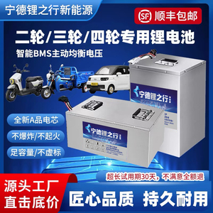 宁德电动车锂电池48v60v磷酸铁锂72v外卖三四轮大容量大单体电瓶