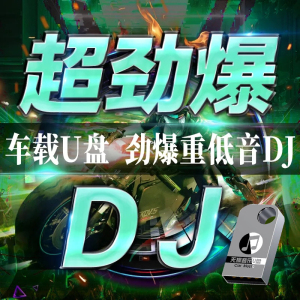 2024抖音夜店劲爆DJ舞曲d亅汽车载u盘歌曲无损高音质车用音乐优盘