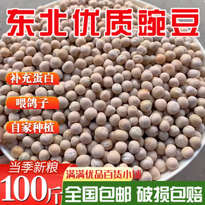 当季新豌豆10斤20斤高蛋白鸽子饲料鸽料白豌豆黄豌豆豌豆鸽料新鲜