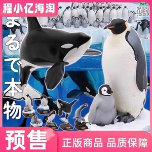 4月 奇谭 NTC图鉴 南极大陆生命纪行动物 虎鲸企鹅 正版扭蛋