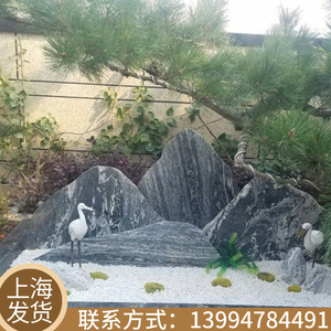 上海白石子盆栽园林装饰鱼缸造景石子白色石头多规格庭院铺路