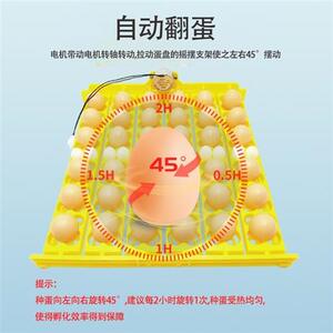 全自动孵化器翻蛋盘孵化机36枚48枚翻蛋蛋盘56枚60枚蛋盘滚轴