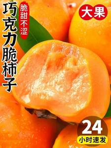 巧克力脆柿子10斤新鲜水果当季脆甜硬柿子红火晶整箱大软包邮5斤