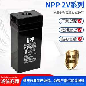 NPP耐普蓄电池NP2-2002V200AH300AH400AH500AH直流屏基站电厂专用