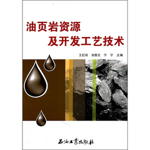 正版九成新图书|油页岩资源及开发工艺技术石油工业