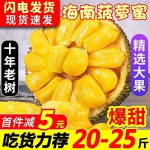 海南黄肉菠萝蜜新鲜水果波罗蜜当季特产一整个20-40斤整箱包邮红