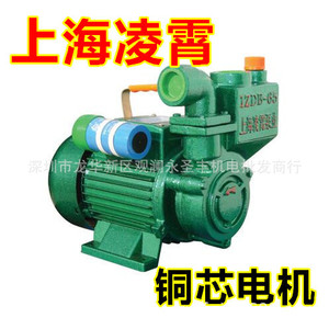 上海凌霄WZB45-550W自吸离心泵/自吸清水泵/抽水机/家用自吸泵