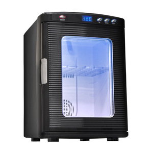 25L加热展示饮料柜车载冰箱迷你小型冰箱制冷家用车家两用冷暖器