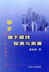 正版9成新图书丨城市地下管线探测与测漏雷林源97875021655