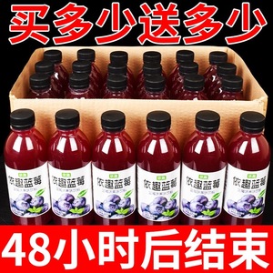 【买一送一】网红蓝莓汁饮料整箱非临期低糖蓝莓汁0脂果蔬汁大瓶