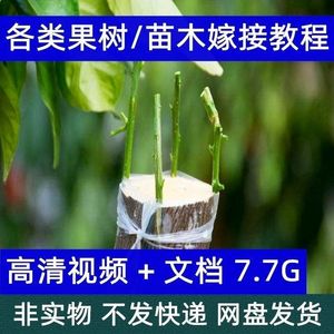 果树苗花木嫁接技术教程种植养护修理扦插技巧高清教学