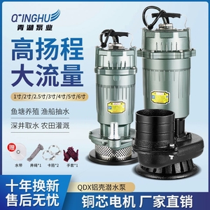 德国进口台州青湖潜水泵220V380V清水泵农用灌溉泵家用大流量高扬