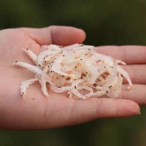 大虾皮250g虾米海米即食虾仁海鲜干货儿童老人孕妇高钙即