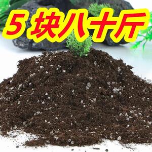 营养土养花专用通用种菜土壤种花花土蔬菜种植土椰砖肥料家用泥土