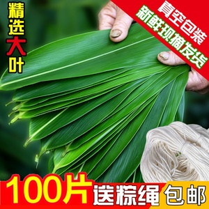 端午节粽叶家用商用包粽子叶用品新鲜粽叶真空包装保鲜棕叶天然叶