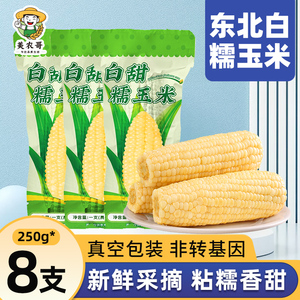 东北白糯玉米250g*8支真空包装新玉米粘糯玉米棒苞米非即食现摘