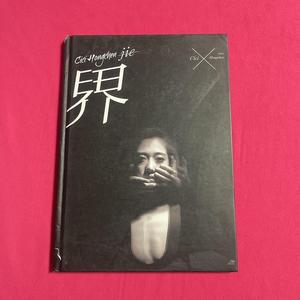 Coco Hongchen jie洪辰 界 唱片附盘1张 签名版天娱音乐天娱音乐