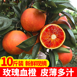 新鲜正宗重庆万州塔罗科玫瑰血橙10斤装香橙夏季榨汁水果香甜果子