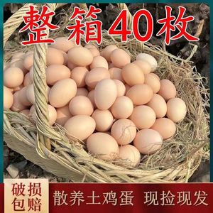 40枚正宗新鲜土鸡蛋农村散养20枚柴鸡蛋农家孕妇笨鸡蛋整箱