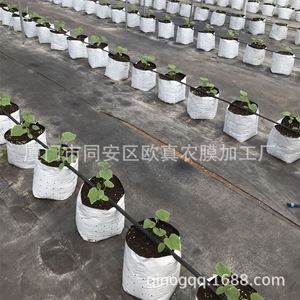 厂家供应黑白种植袋番茄黄瓜辣椒无土栽培生长袋不含基质