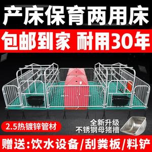 母猪产床热镀2.5产保一体两用床定位栏单双体保育床养猪设备厂家